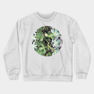 Succulent Rainbow Crewneck Sweatshirt